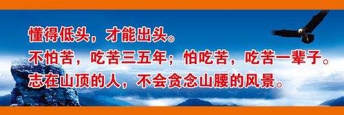 kaiyun官方网站:比亚迪f3车机接线(比亚迪f3倒车影像接线图)